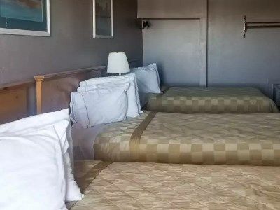 Hotel Satellite